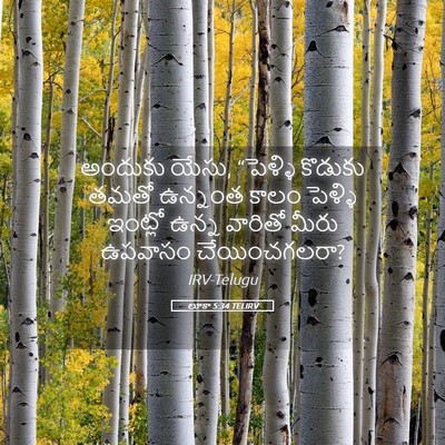 Picture 05 - లూకా 5:34 TELIRV - అందుకు యేసు, - Bible Verse Picture