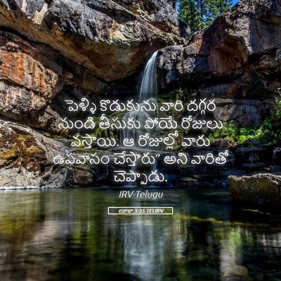 Picture 05 - లూకా 5:35 TELIRV - పెళ్ళి కొడుకును - Bible Verse Picture