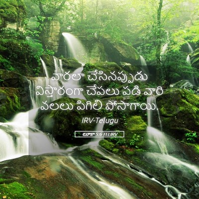 Picture 05 - లూకా 5:6 TELIRV - వారలా చేసినప్పుడు - Bible Verse Picture