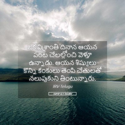 Picture 05 - లూకా 6:1 TELIRV - ఒక విశ్రాంతి - Bible Verse Picture