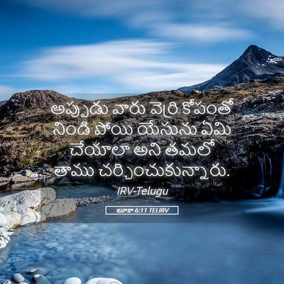 Picture 05 - లూకా 6:11 TELIRV - అప్పుడు వారు - Bible Verse Picture