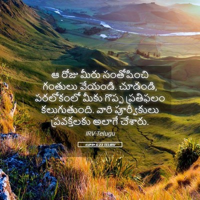Picture 05 - లూకా 6:23 TELIRV - ఆ రోజు మీరు - Bible Verse Picture