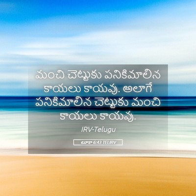 Picture 05 - లూకా 6:43 TELIRV - మంచి చెట్టుకు - Bible Verse Picture