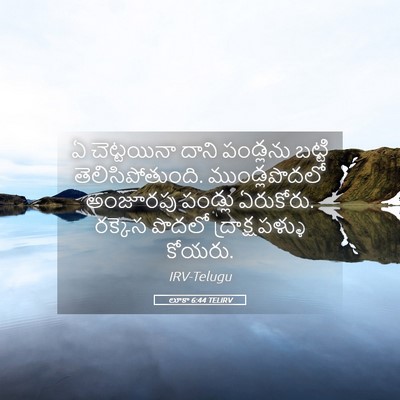 Picture 05 - లూకా 6:44 TELIRV - ఏ చెట్టయినా దాని - Bible Verse Picture