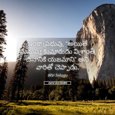 Picture 05 - లూకా 6:5 TELIRV - ఇంకా ప్రభువు, - Bible Verse Picture