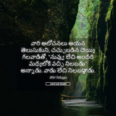 Picture 05 - లూకా 6:8 TELIRV - వారి ఆలోచనలు ఆయన - Bible Verse Picture