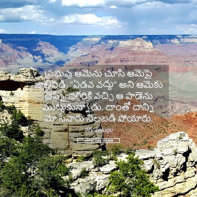 Picture 05 - లూకా 7:13 TELIRV - ప్రభువు ఆమెను - Bible Verse Picture