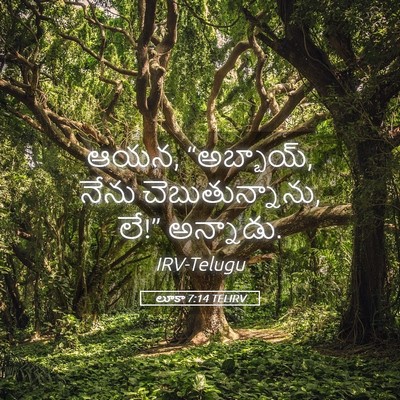 Picture 05 - లూకా 7:14 TELIRV - ఆయన, “అబ్బాయ్, నేను - Bible Verse Picture