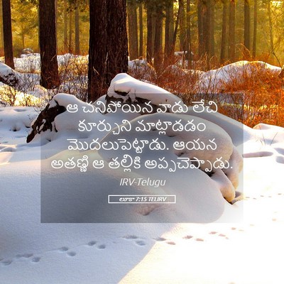 Picture 05 - లూకా 7:15 TELIRV - ఆ చనిపోయిన వాడు - Bible Verse Picture