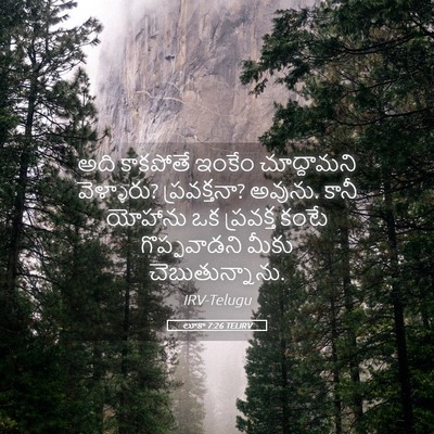 Picture 05 - లూకా 7:26 TELIRV - అది కాకపోతే ఇంకేం - Bible Verse Picture