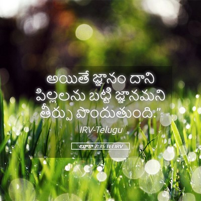 Picture 05 - లూకా 7:35 TELIRV - అయితే జ్ఞానం దాని - Bible Verse Picture