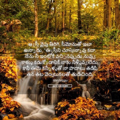Picture 05 - లూకా 7:44 TELIRV - ఆ స్త్రీ వైపు - Bible Verse Picture