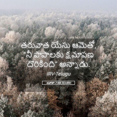 Picture 05 - లూకా 7:48 TELIRV - తరువాత యేసు ఆమెతో, - Bible Verse Picture