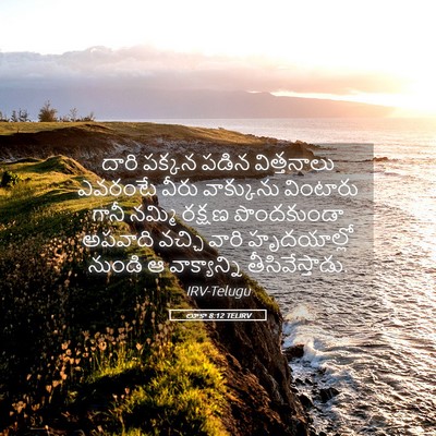 Picture 05 - లూకా 8:12 TELIRV - దారి పక్కన పడిన - Bible Verse Picture