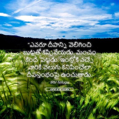 Picture 05 - లూకా 8:16 TELIRV - “ఎవరూ దీపాన్ని - Bible Verse Picture