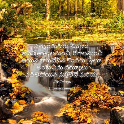 Picture 05 - లూకా 8:2 TELIRV - పన్నెండుగురు - Bible Verse Picture