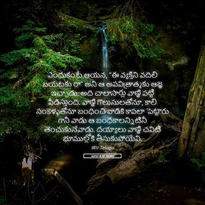 Picture 05 - లూకా 8:29 TELIRV - ఎందుకంటే ఆయన, “ఈ - Bible Verse Picture