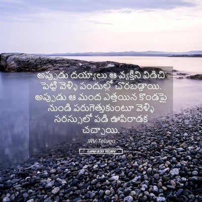 Picture 05 - లూకా 8:33 TELIRV - అప్పుడు దయ్యాలు ఆ - Bible Verse Picture