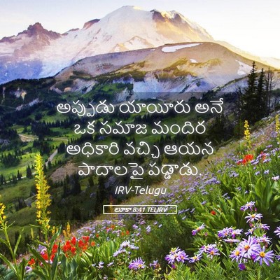 Picture 05 - లూకా 8:41 TELIRV - అప్పుడు యాయీరు - Bible Verse Picture