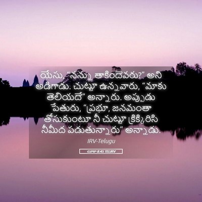 Picture 05 - లూకా 8:45 TELIRV - యేసు, “నన్ను - Bible Verse Picture