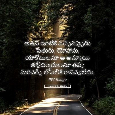 Picture 05 - లూకా 8:51 TELIRV - అతని ఇంటికి - Bible Verse Picture