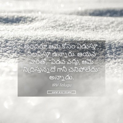 Picture 05 - లూకా 8:52 TELIRV - అందరూ ఆమె కోసం - Bible Verse Picture