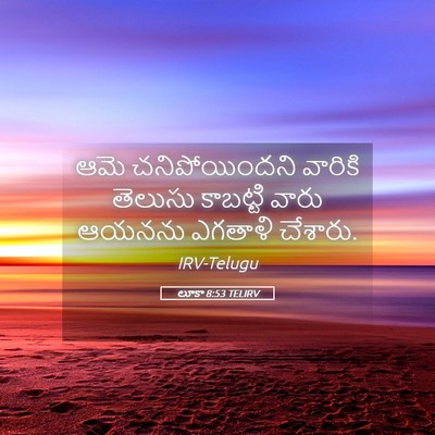 Picture 05 - లూకా 8:53 TELIRV - ఆమె చనిపోయిందని - Bible Verse Picture