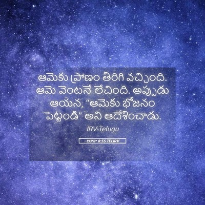 Picture 05 - లూకా 8:55 TELIRV - ఆమెకు ప్రాణం - Bible Verse Picture