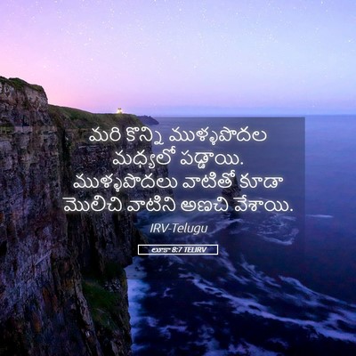 Picture 05 - లూకా 8:7 TELIRV - మరి కొన్ని - Bible Verse Picture