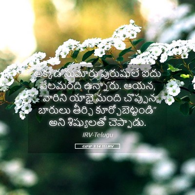 Picture 05 - లూకా 9:14 TELIRV - అక్కడ సుమారు - Bible Verse Picture