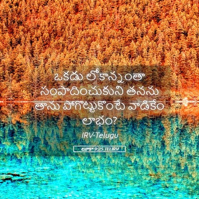 Picture 05 - లూకా 9:25 TELIRV - ఒకడు లోకాన్నంతా - Bible Verse Picture