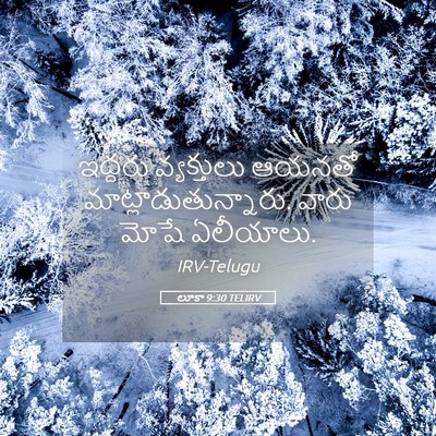 Picture 05 - లూకా 9:30 TELIRV - ఇద్దరు వ్యక్తులు - Bible Verse Picture