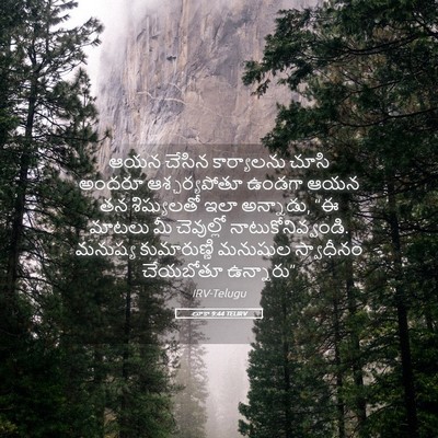 Picture 05 - లూకా 9:44 TELIRV - ఆయన చేసిన - Bible Verse Picture