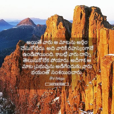 Picture 05 - లూకా 9:45 TELIRV - అయితే వారు ఆ మాటను - Bible Verse Picture