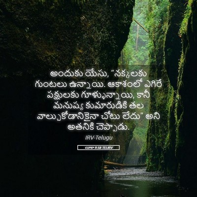 Picture 05 - లూకా 9:58 TELIRV - అందుకు యేసు, - Bible Verse Picture