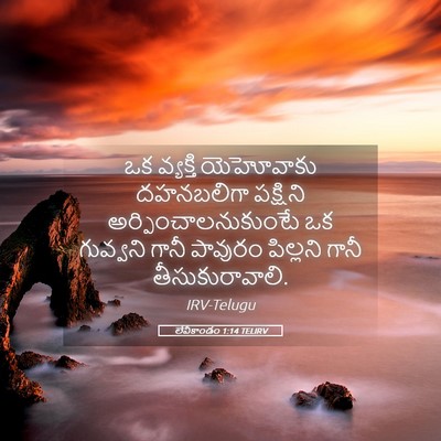 Picture 05 - లేవీకాండం 1:14 TELIRV - ఒక వ్యక్తి - Bible Verse Picture
