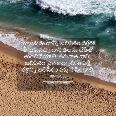 Picture 05 - లేవీకాండం 1:15 TELIRV - యాజకుడు దాన్ని - Bible Verse Picture