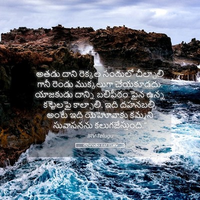 Picture 05 - లేవీకాండం 1:17 TELIRV - అతడు దాని రెక్కల - Bible Verse Picture