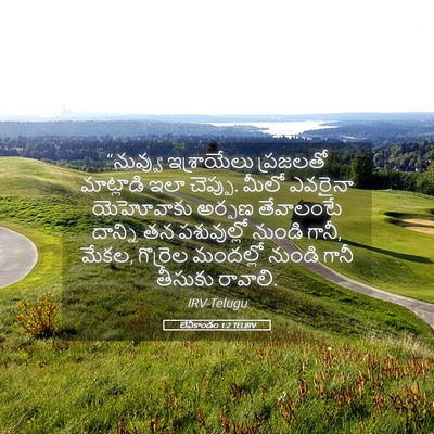 Picture 05 - లేవీకాండం 1:2 TELIRV - “నువ్వు ఇశ్రాయేలు - Bible Verse Picture