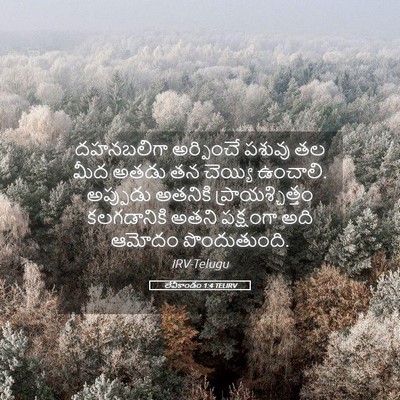 Picture 05 - లేవీకాండం 1:4 TELIRV - దహనబలిగా అర్పించే - Bible Verse Picture