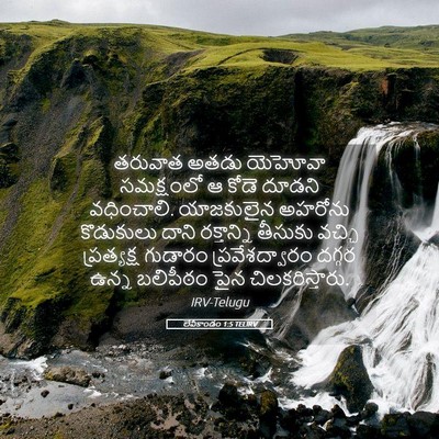 Picture 05 - లేవీకాండం 1:5 TELIRV - తరువాత అతడు - Bible Verse Picture