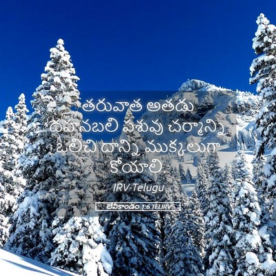 Picture 05 - లేవీకాండం 1:6 TELIRV - తరువాత అతడు - Bible Verse Picture