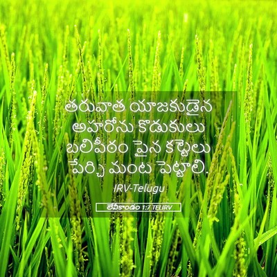 Picture 05 - లేవీకాండం 1:7 TELIRV - తరువాత యాజకుడైన - Bible Verse Picture