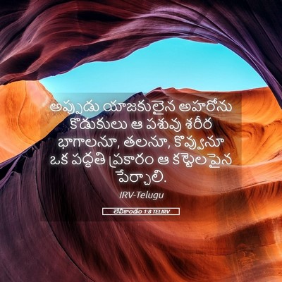 Picture 05 - లేవీకాండం 1:8 TELIRV - అప్పుడు యాజకులైన - Bible Verse Picture