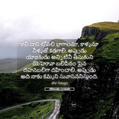Picture 05 - లేవీకాండం 1:9 TELIRV - కానీ దాని లోపలి - Bible Verse Picture
