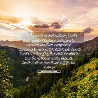 Picture 05 - లేవీకాండం 10:12 TELIRV - అప్పుడు మోషే - Bible Verse Picture