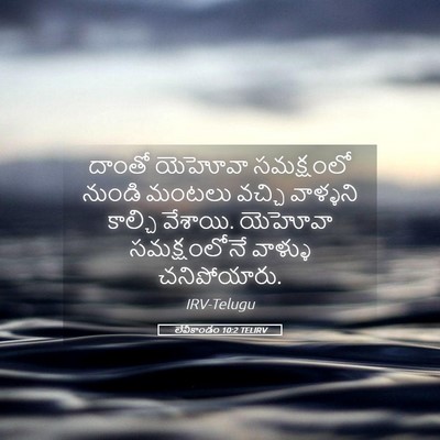 Picture 05 - లేవీకాండం 10:2 TELIRV - దాంతో యెహోవా - Bible Verse Picture