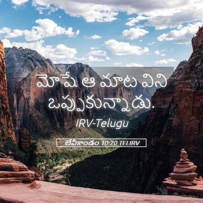 Picture 05 - లేవీకాండం 10:20 TELIRV - మోషే ఆ మాట విని - Bible Verse Picture
