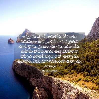 Picture 05 - లేవీకాండం 10:3 TELIRV - అప్పుడు మోషే - Bible Verse Picture