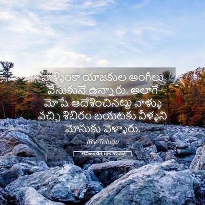 Picture 05 - లేవీకాండం 10:5 TELIRV - వాళ్ళింకా యాజకుల - Bible Verse Picture